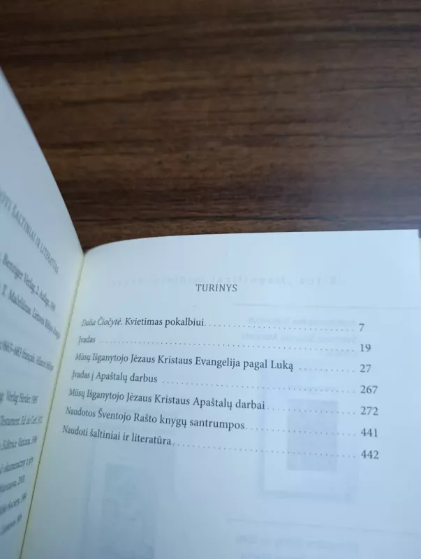 Nuo Betliejaus iki Romos su šventuoju Luku - Vaclovas Aliulis, knyga 4