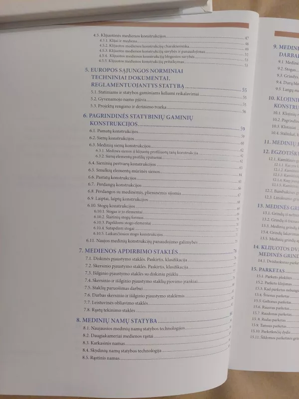 Dailidės darbai - Rimantas Avižienis, knyga 4