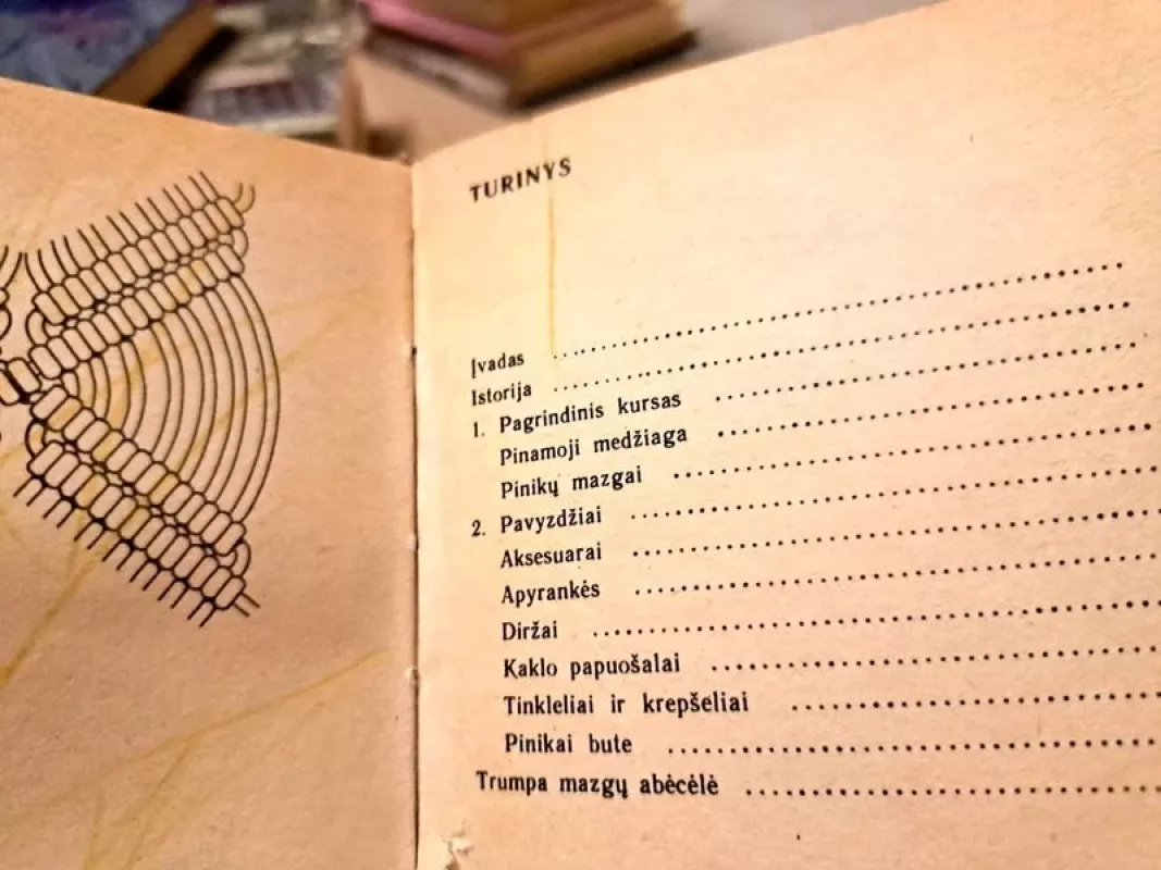 Pinikai - Bonny Šmid-Burleson, knyga 3