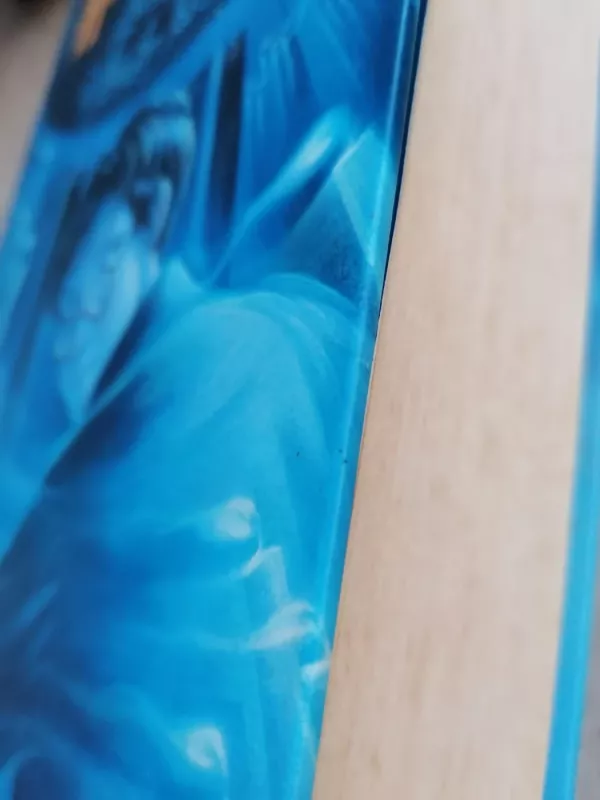 Haris Poteris ir Fenikso Brolija - Rowling J. K., knyga 3