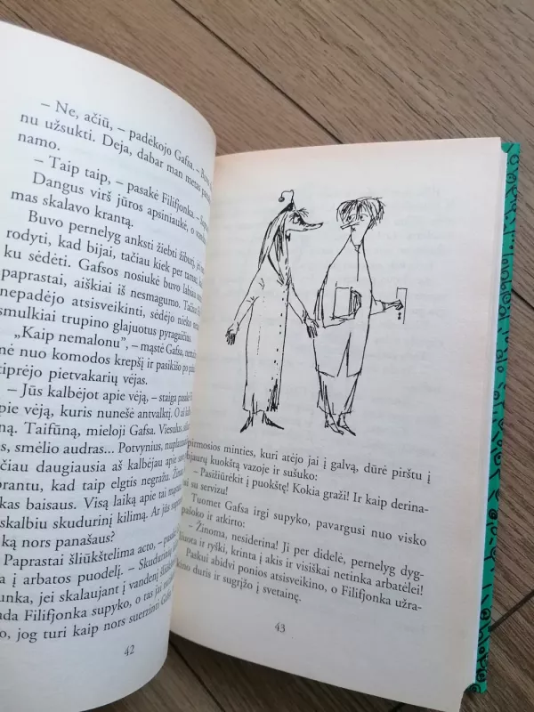 Nematomas vaikas ir kiti apsakymai - Tuvė Janson, knyga 6