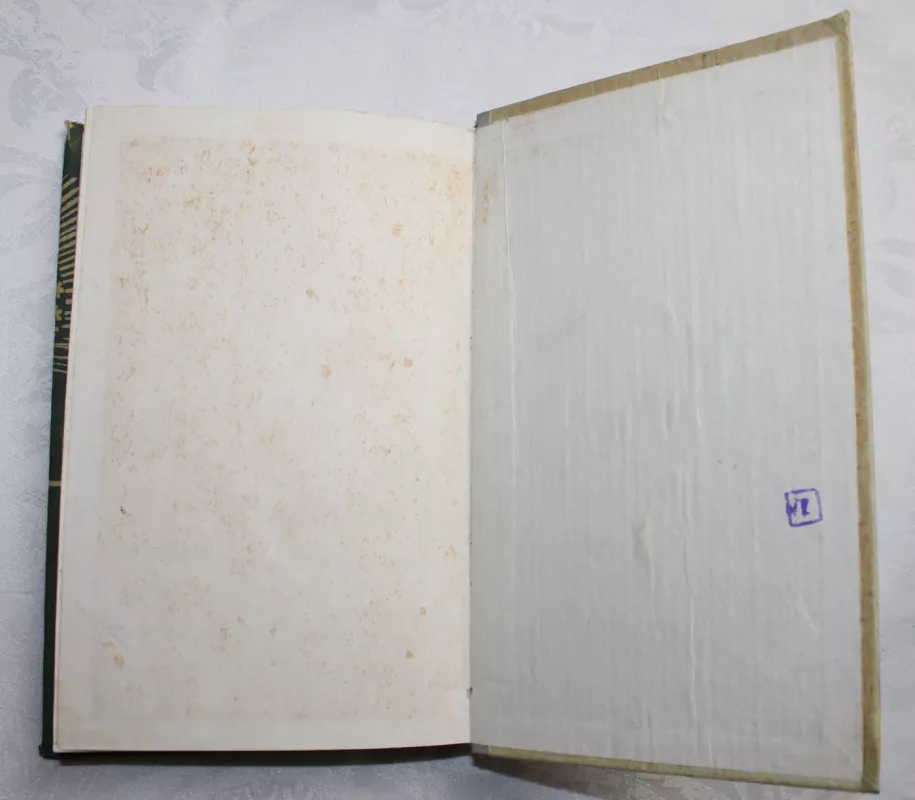 Jaunystės atradimas - Antanas Venclova, knyga 5