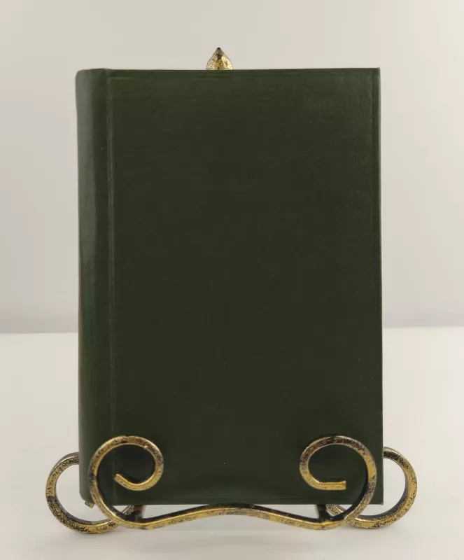 Partizanai - Juozas Daumantas, knyga 5