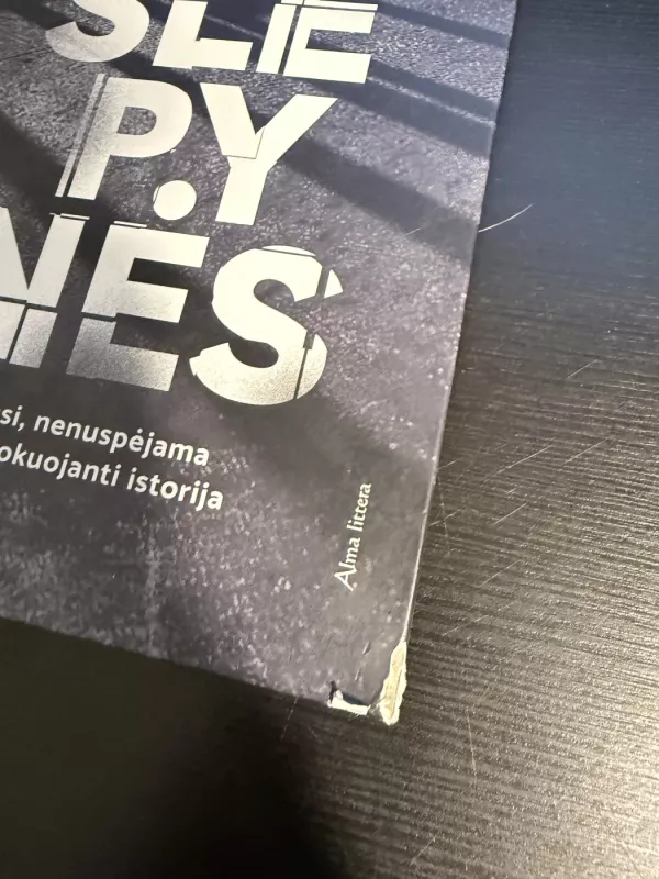 Slėpynės - M.J. Arlidge, knyga 4