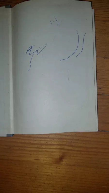 Miestų transportas - V. Šeštokas, knyga 2