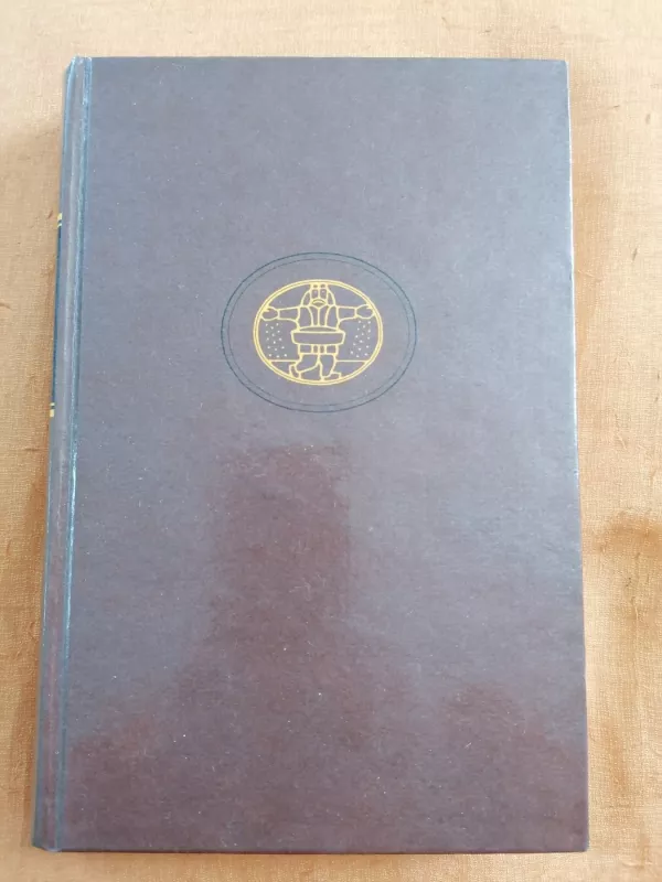 Išmoningasis Idalgas Don Kichotas Iš La Mančos (1 tomas)) - Miguel Cervantes, knyga 2