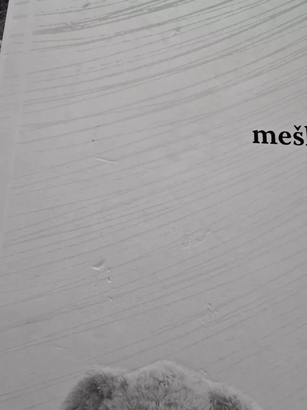 Meškiukas už stiklo - Anna Vinkovskiene, knyga 3