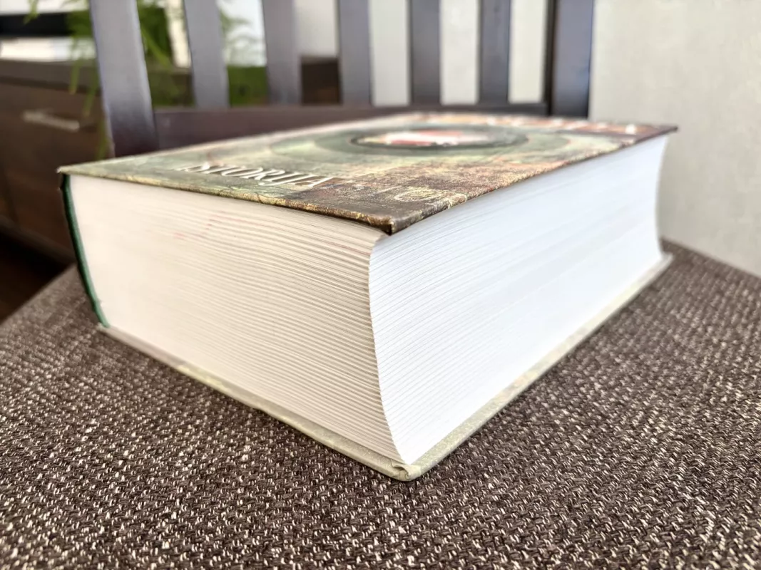 EUROPA ISTORIJA - Norman Davies, knyga 6