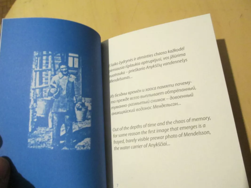 Anykščių dantiraštis. Atsisveikinimui - Rimantas P. Vanagas, knyga 5