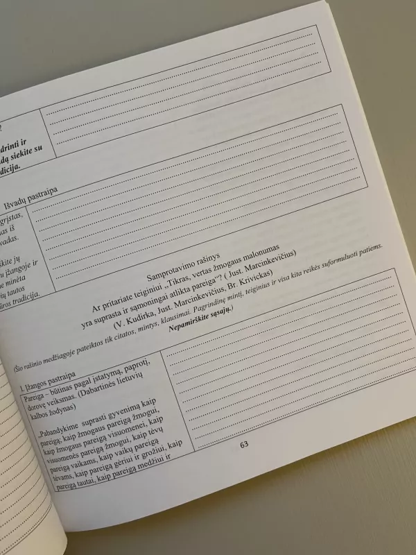 Samprotavimo ir literatūrinis rašinys. Pratybos 11-12 klasei - Nomeda Alijauskienė, knyga 4