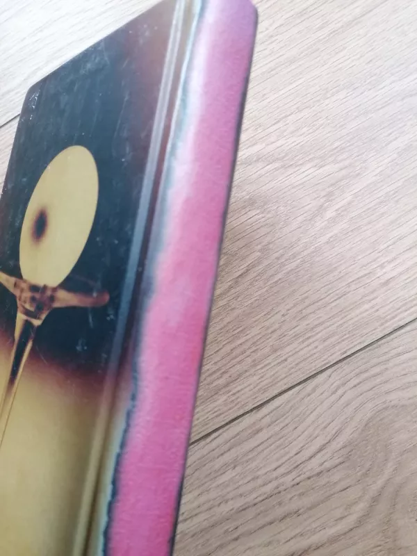 Kulka Dievo širdy - Robertas Keturakis, knyga 5