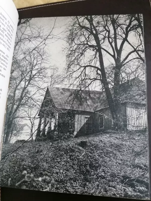 Beatričė - Tomas Sakalauskas, knyga 4