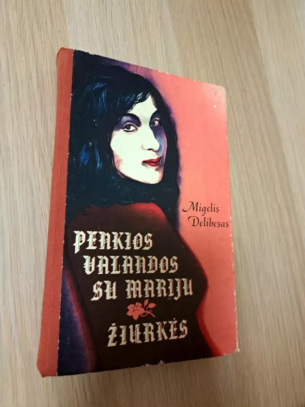 Penkios valandos su Mariju. Žiurkės - Migelis Delibesas, knyga 2