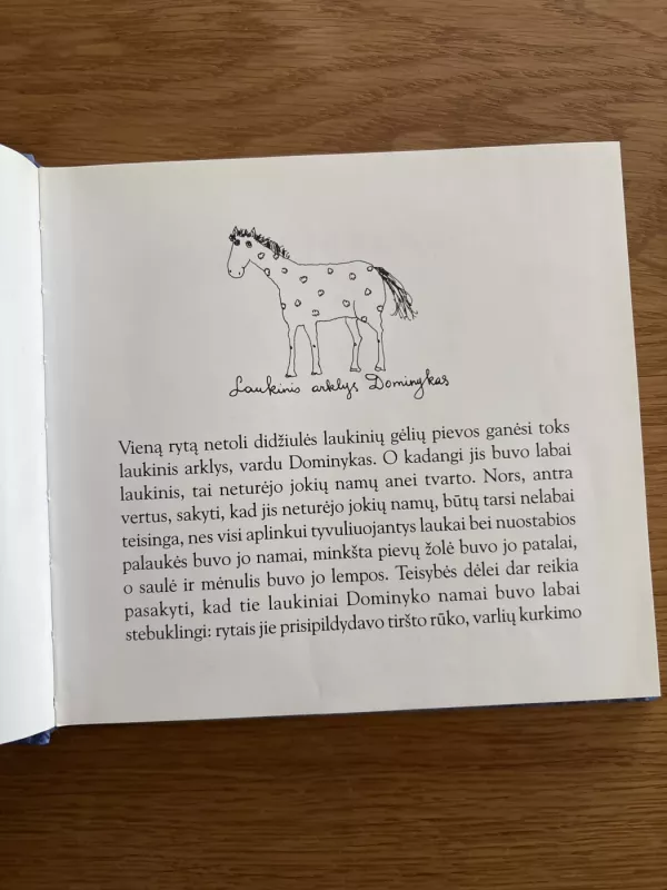 Arklio Dominyko meilė - Sigutė Ach, knyga 3