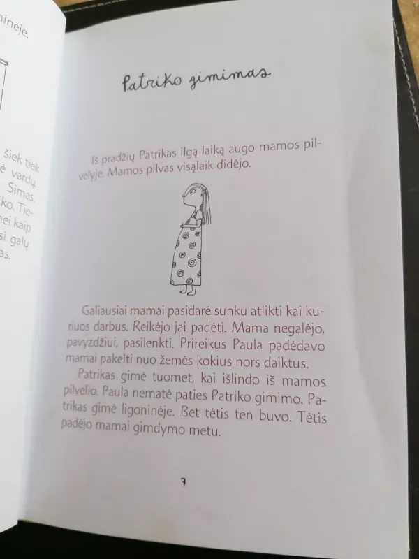 Paula ir Patrikas - Aino Pervik, knyga 4