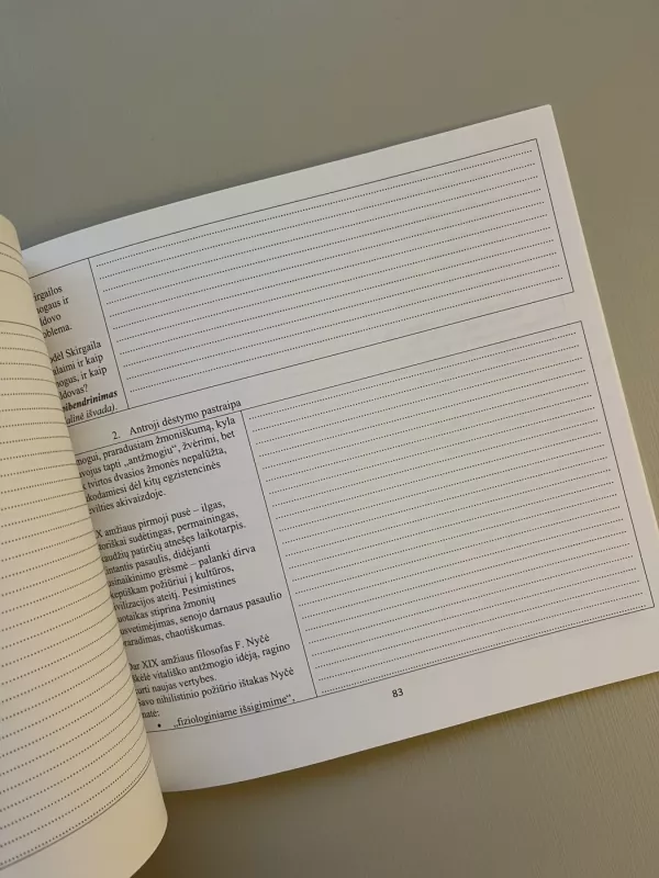 Samprotavimo ir literatūrinis rašinys. Pratybos 11-12 klasei - Nomeda Alijauskienė, knyga 5