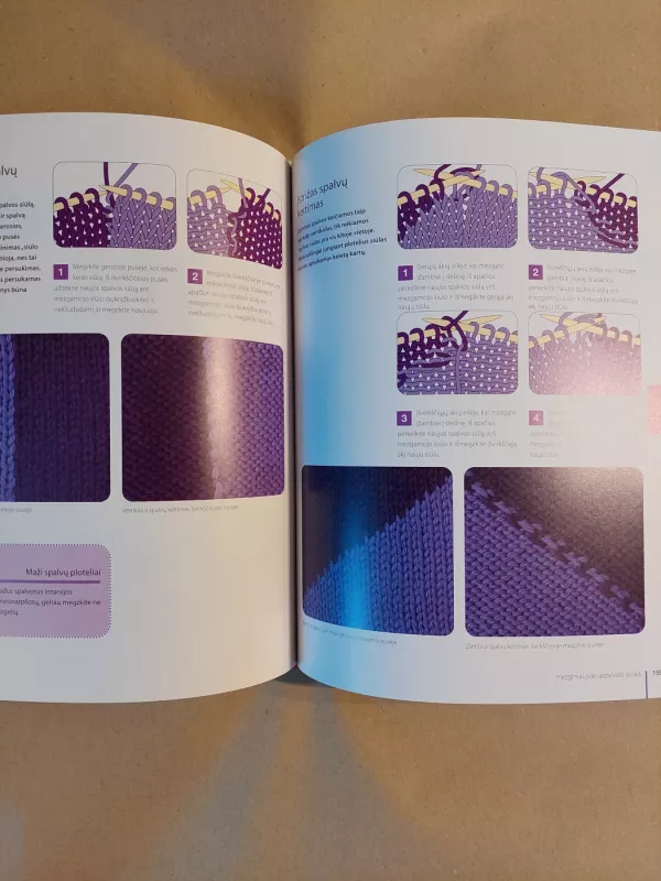 Mezgimo biblija - Sharon Brant, knyga 4