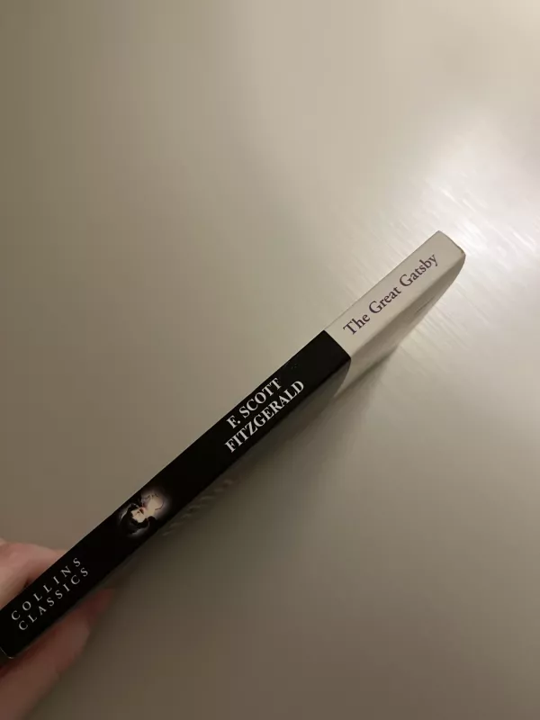 The Great Gatsby - Fitzgerald F. Scott, knyga 5