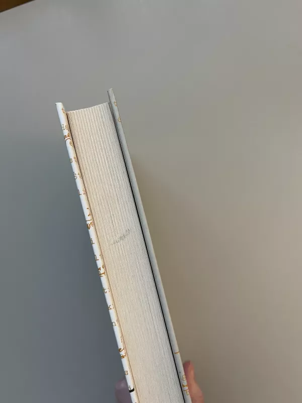 Tūla - Jurgis Kunčinas, knyga 4