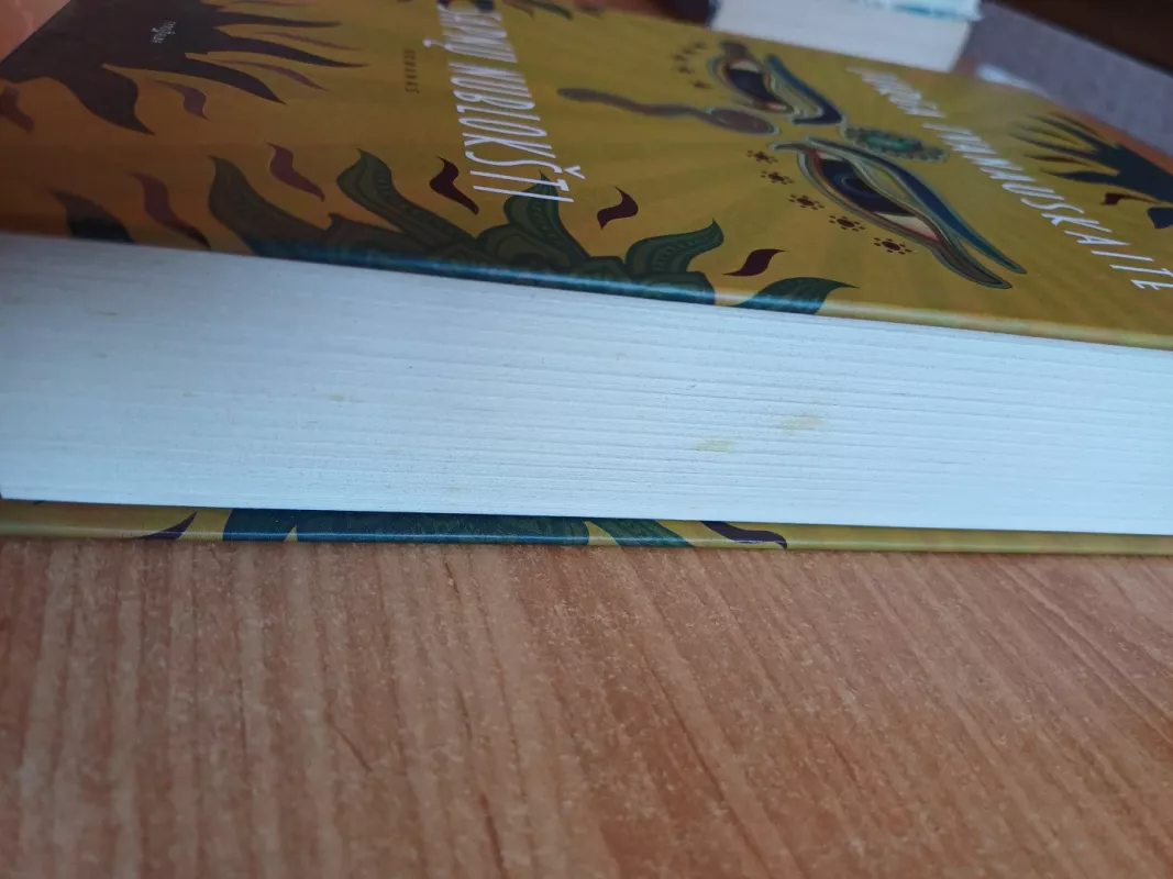 Sapnų nublokšti - Jurga Ivanauskaitė, knyga 4