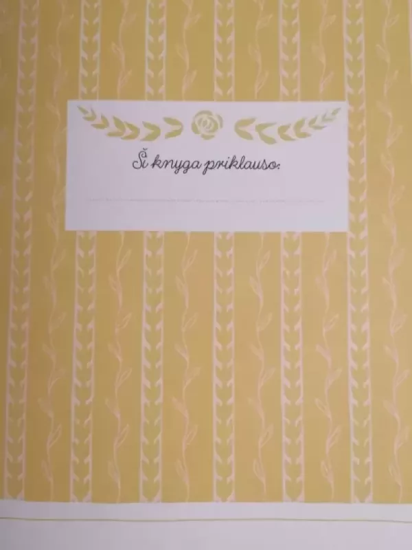 Trolis Mumis ir paskutinis slibinas - Tuve Jansson, knyga 3