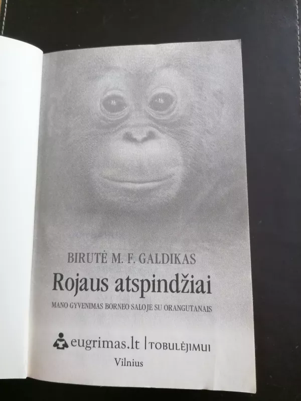 Rojaus atspindžiai - Birutė Galdikas, knyga 4