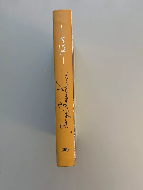 Tūla - Jurgis Kunčinas, knyga 5