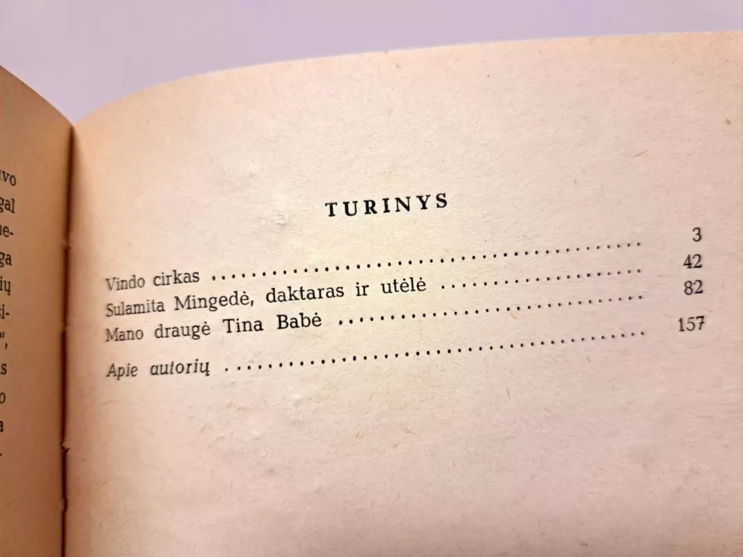 Mano draugė Tina Babė - Ervinas Štritmateris, knyga 4