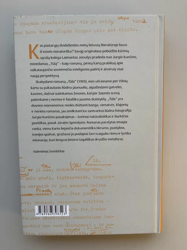 Tūla - Jurgis Kunčinas, knyga 3