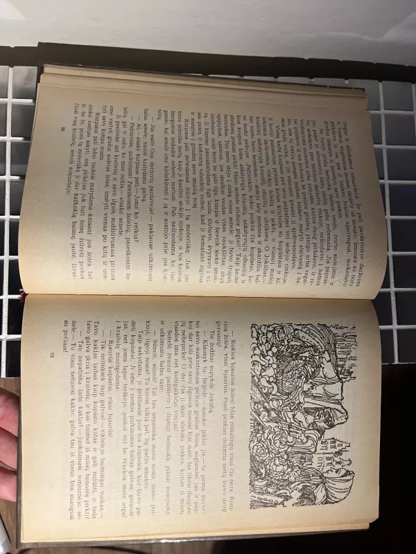 Šaltoji širdis - Vilhelmas Haufas, knyga 5