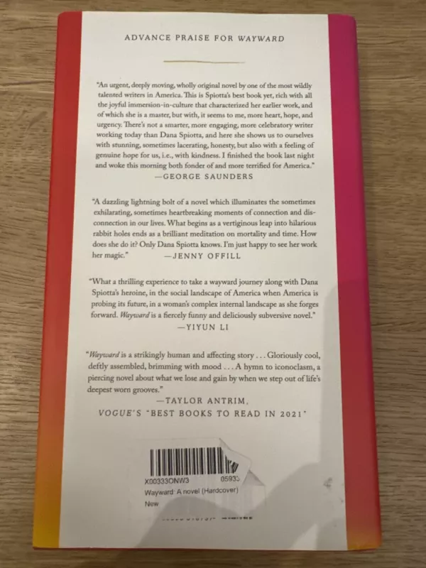 Wayward - Dana Spiotta, knyga 3