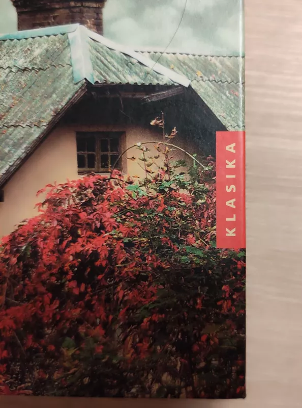 Mūsų nerimo žiema - John Steinbeck, knyga 4