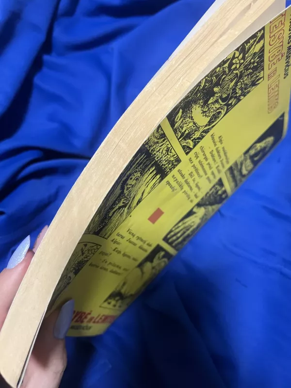 Teisybė ir lemtis - Vytautas Misevičius, knyga 5