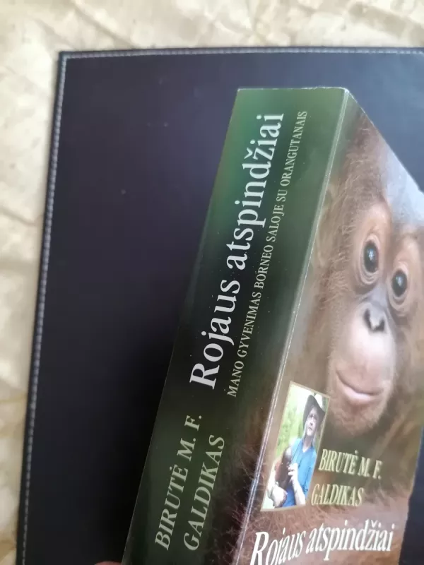 Rojaus atspindžiai - Birutė Galdikas, knyga 3