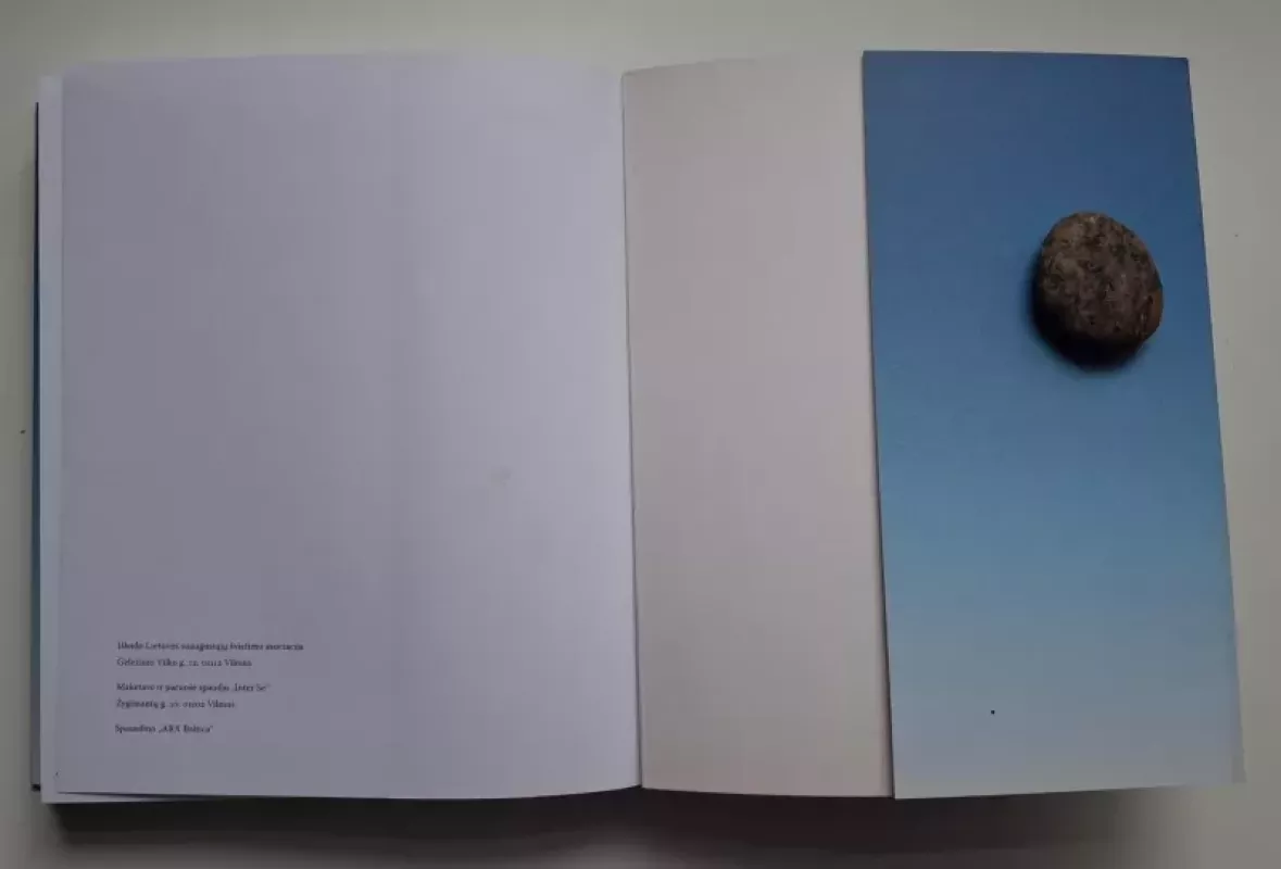 Žingsniai verslumo kompetencijos link - Autorių Kolektyvas, knyga 3