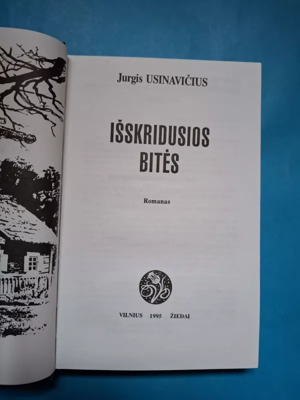 Išskridusios bitės - Jurgis Usinavičius, knyga 4