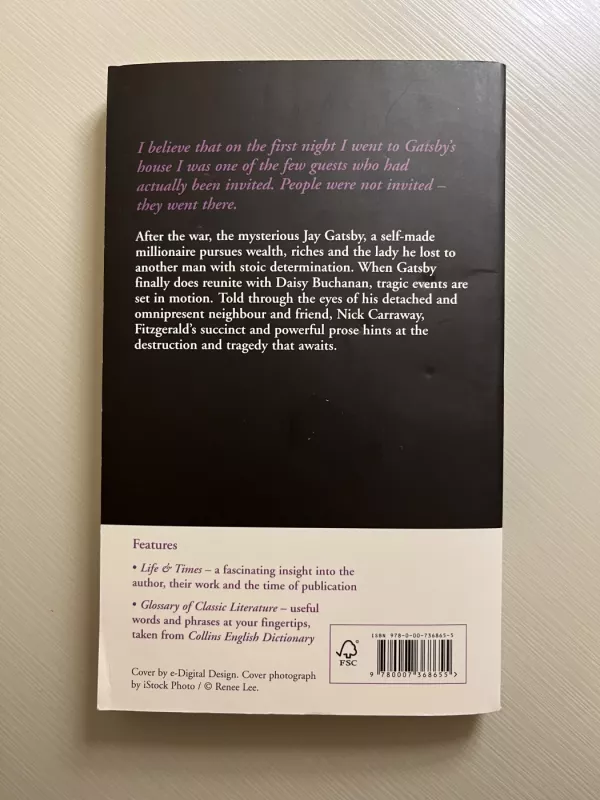 The Great Gatsby - Fitzgerald F. Scott, knyga 3