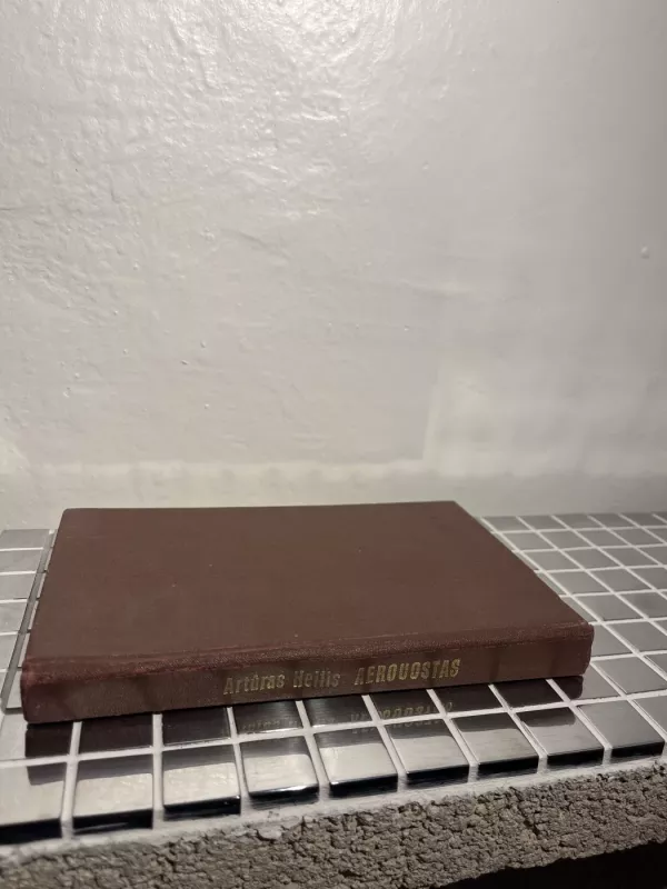 Aerouostas - Artūras Heilis, knyga 3