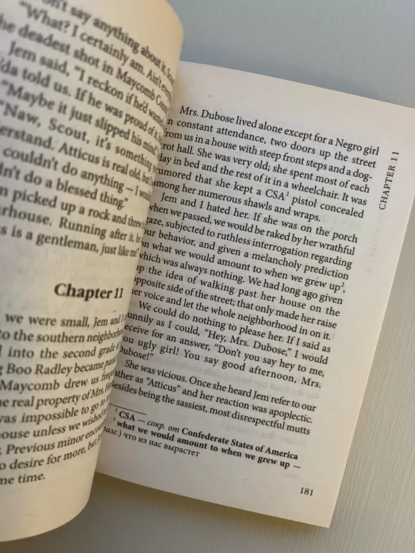 To Kill A Mockingbird - Harper Lee, knyga 4