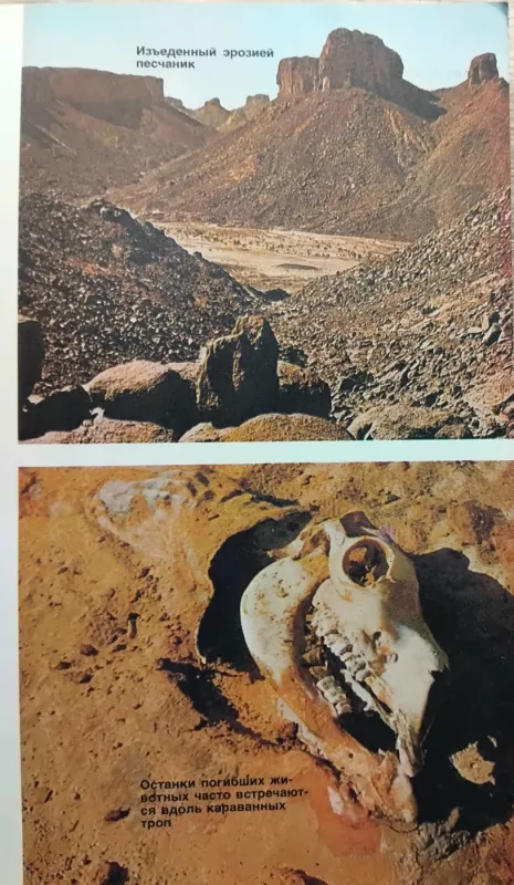 Karščiau už pragarą - Helmutas Höflingas, knyga 3