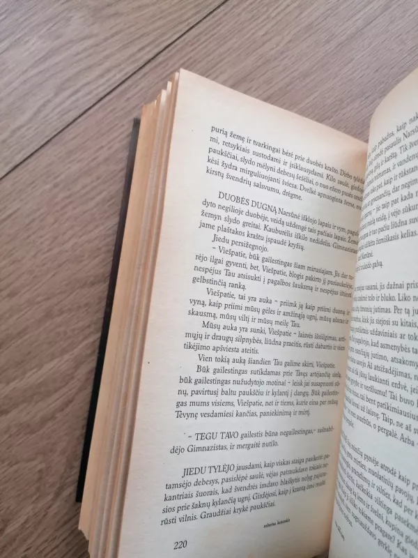 Kulka Dievo širdy - Robertas Keturakis, knyga 4