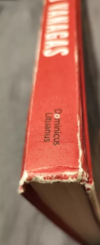 Aš esu Vanagas - Arvydas Anušauskas, knyga 3