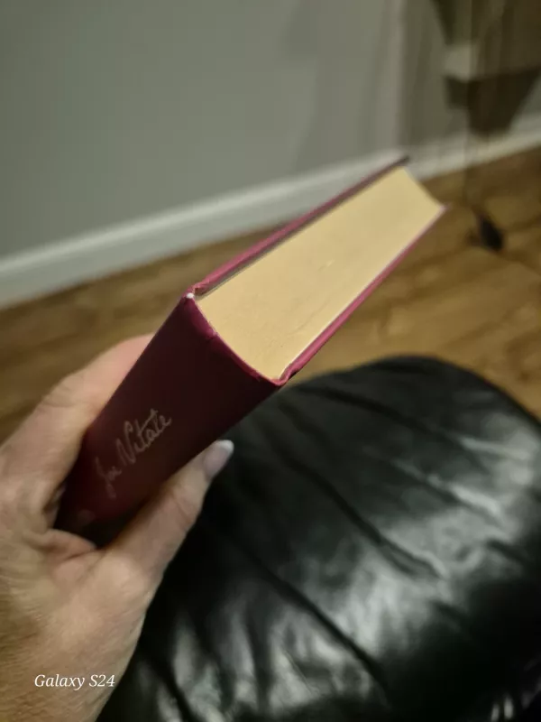 Pabudimas. Visų problemų sprendimo paslaptis - Joe Vitale, knyga 5