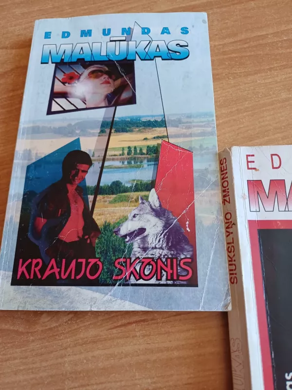 Šiukšlyno žmonės - Edmundas Malūkas, knyga 4