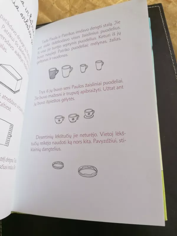 Paula ir Patrikas - Aino Pervik, knyga 5