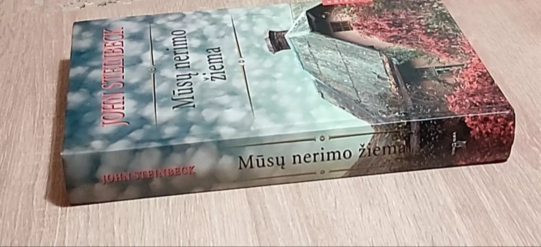 Mūsų nerimo žiema - John Steinbeck, knyga 3