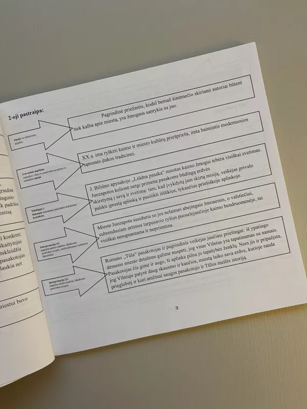 Samprotavimo ir literatūrinis rašinys. Pratybos 11-12 klasei - Nomeda Alijauskienė, knyga 6