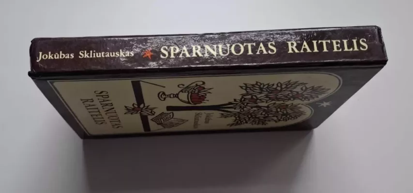 Sparnuotas raitelis - Jokūbas Skliutauskas, knyga 4