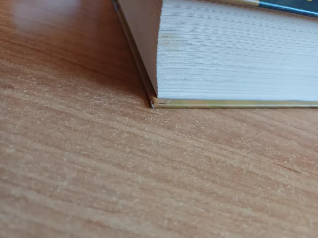 Sapnų nublokšti - Jurga Ivanauskaitė, knyga 5