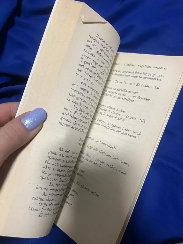 Teisybė ir lemtis - Vytautas Misevičius, knyga 6